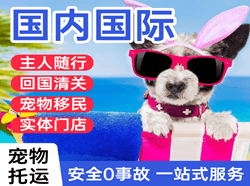 西安空运公司国际宠物托运 【国